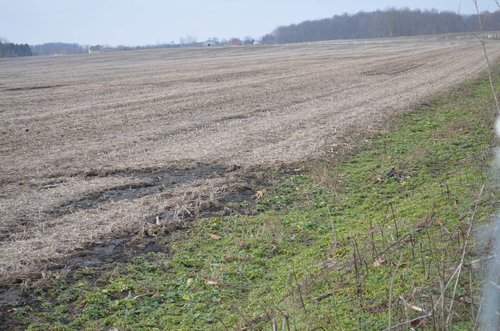 Property photo 3 - 98+/- Acres Offered in 6 Tracts or Combinations, Noble County, Indiana Farm